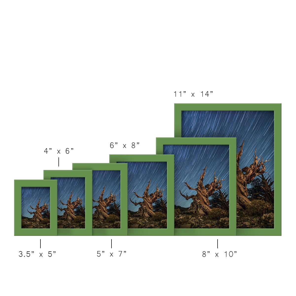 Modern 6 in. x 8 in. Green Picture Frame (Set of 4)