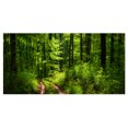 thumbnail image 2 of Verdure Fascinante dans une Forêt Sauvage - Impression sur Toile de Forêt, 2 of 3