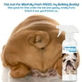 thumbnail image 6 of The Blissful Dog Bulldog Blissfully Fresh Face Wash for Cleaning Tear Stains, Flat-Faces, Beards, Ear Fringes, Jowls and More I Alcohol & Irritation Free I 16-Ounce Spray Bottle, 6 of 10