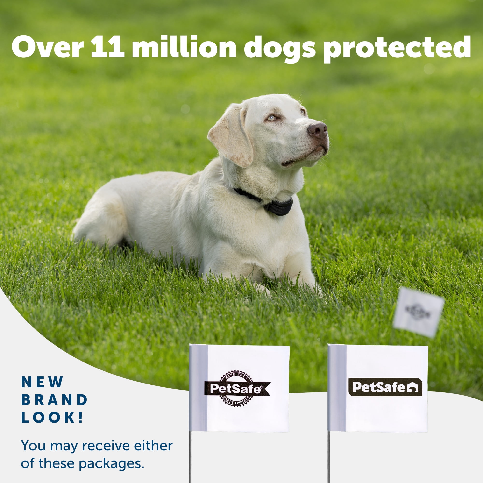 PetSafe Boundary Flags, For Use with PetSafe's Dog and Cat Fences, Bundle of 50