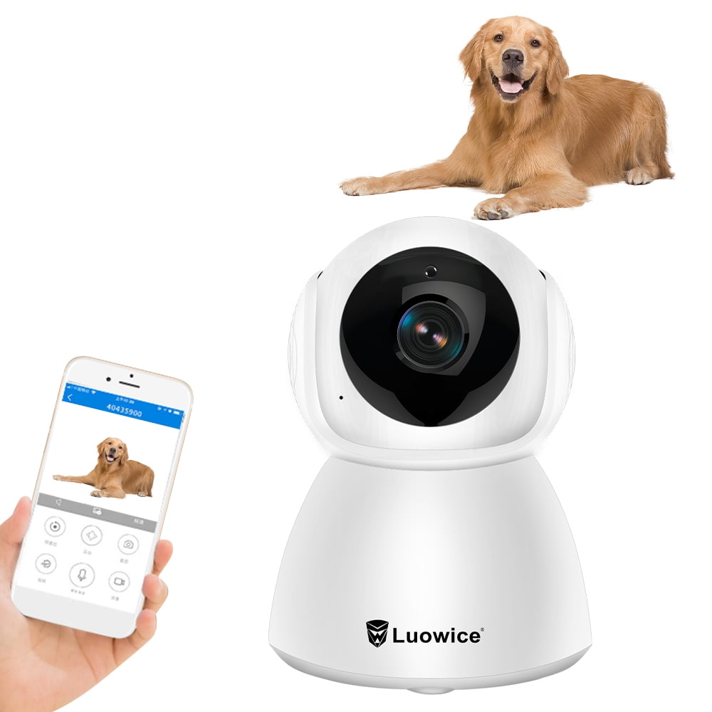 indoor dog camera