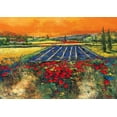 thumbnail image 2 of Madjid 32x24 Gold Ornate Wood Framed with Double Matting Museum Art Print Titled - Provence, 2 of 4