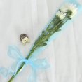 thumbnail image 3 of Cinta de gasa con cable azul cielo claro, cintas transparentes para manualidades, ramos de flores, decoraciones para fiesta de coche de boda, Día de San Valentín, 3 of 5