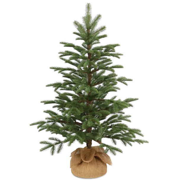 National Tree 3 ft Norwegian Seedling Tree