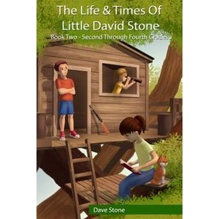 The Life & Times of Little David Stone: Book Two - Second through Fourth Grades - eBook