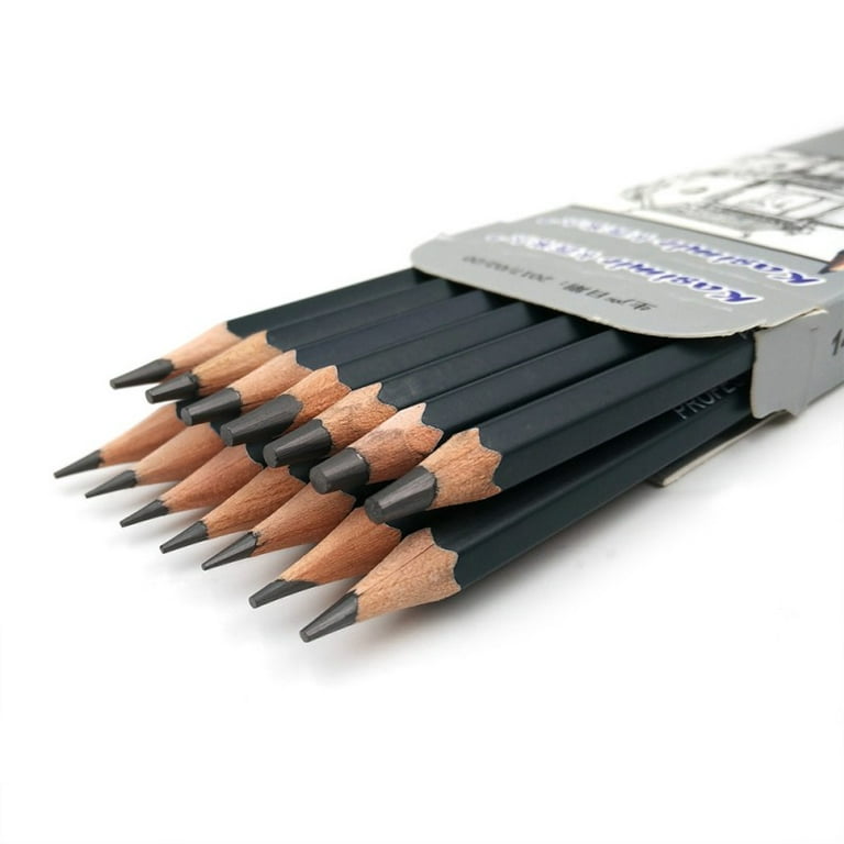 Qionew Professional Drawing Sketching Pencil Set - 12 Pack, Graphite  Pencils(14B - 2H), Ideal for Drawing, Art Pencils for Drawing and Shading,  Back