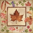 thumbnail image 2 of Marrott, Stephanie 20x20 Black Ornate Wood Framed with Double Matting Museum Art Print Titled - Maple of Fall 1, 2 of 4