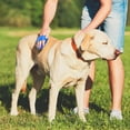 thumbnail image 4 of Paquete de 2 cepillos de aseo para perros, cepillo de baño para mascotas de primera calidad, peine de goma de masaje relajante, mango de anillo ajustable, adecuado para mascotas de pelo largo y corto, 4 of 7