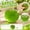 Green, variant on 2.3-inchCheap Squishy,Blue Apple Squishies,Peach Stress Ball,Fruit Squeeze Fidget Toys Anxiety Relief Soft Stress Ball
