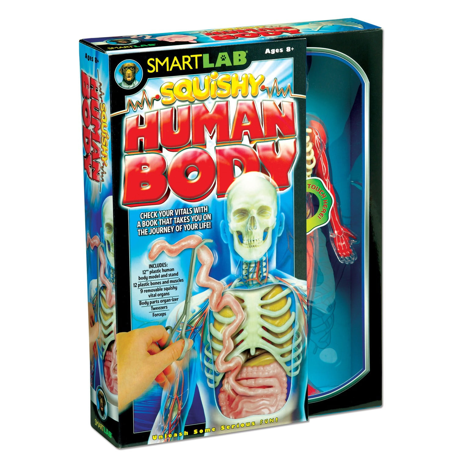 smartworks squishy human body