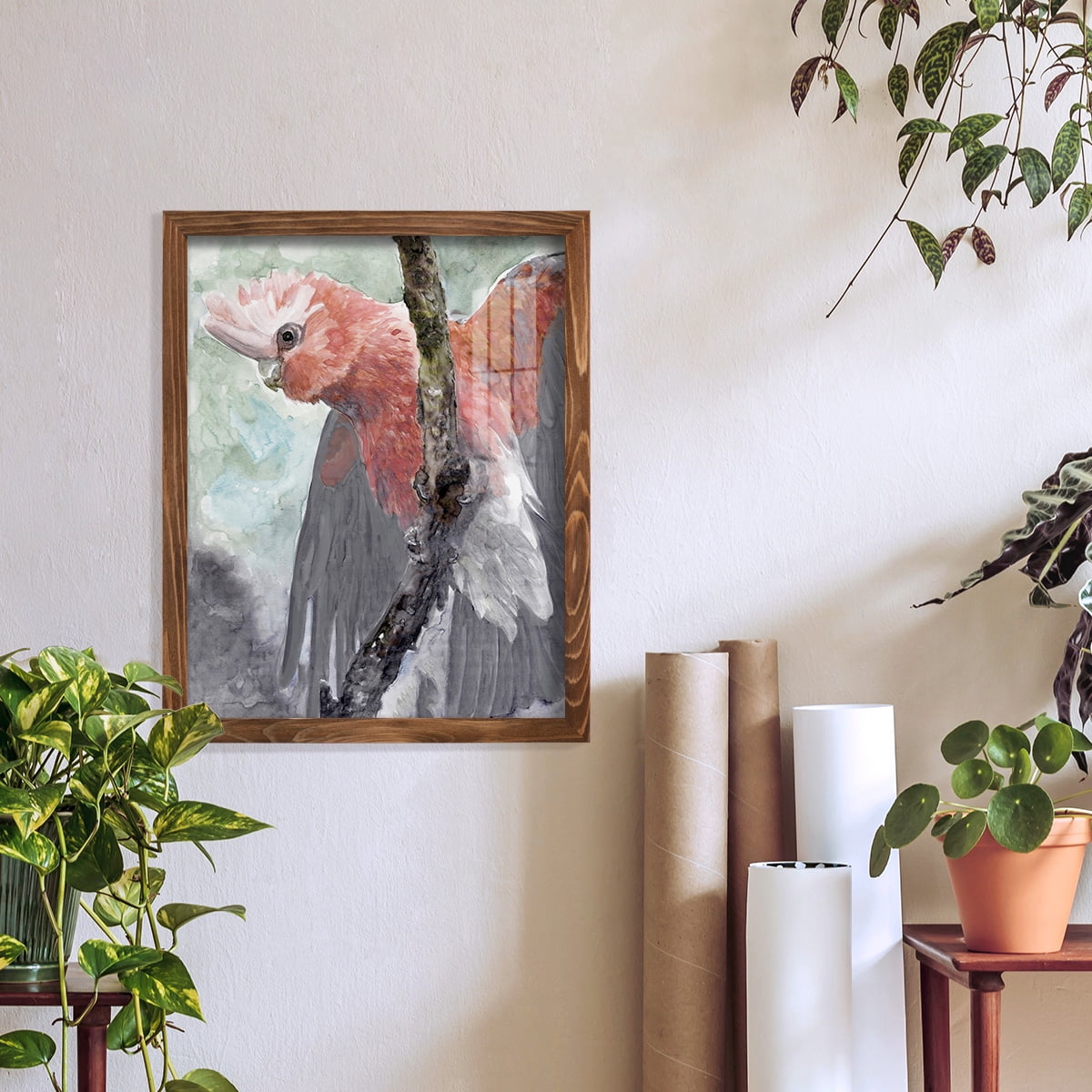 Tropic Parrot II - Framed Print w/glass - Walnut