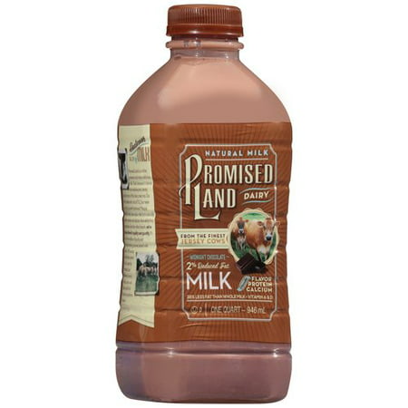 Promised Land 2% Reduced Fat Midnight Chocolate Milk, 1 Qt ...