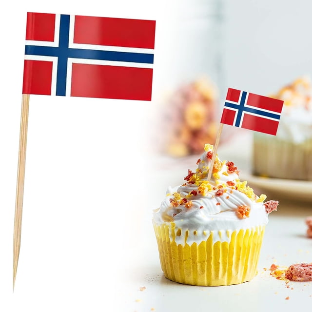Country Flag Toothpicks | Cake and Burger Decorative Sticks | Flags for Themed Meals