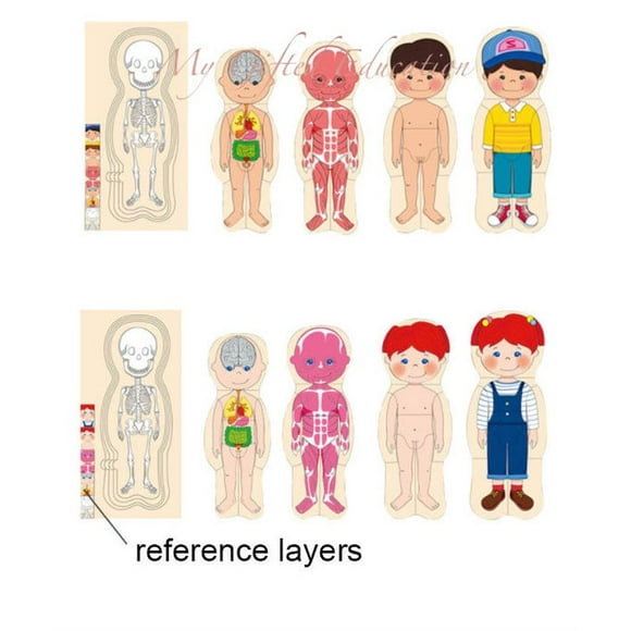 Casse-Tête en Bois à 5 Couches Garçon/fille Parties du Corps Humain - Casse-Têtes en Bois d'Anatomie - Jouet d'Apprentissage Montessori Waldorf STIM Préscolaire - Cadeau pour Enfants