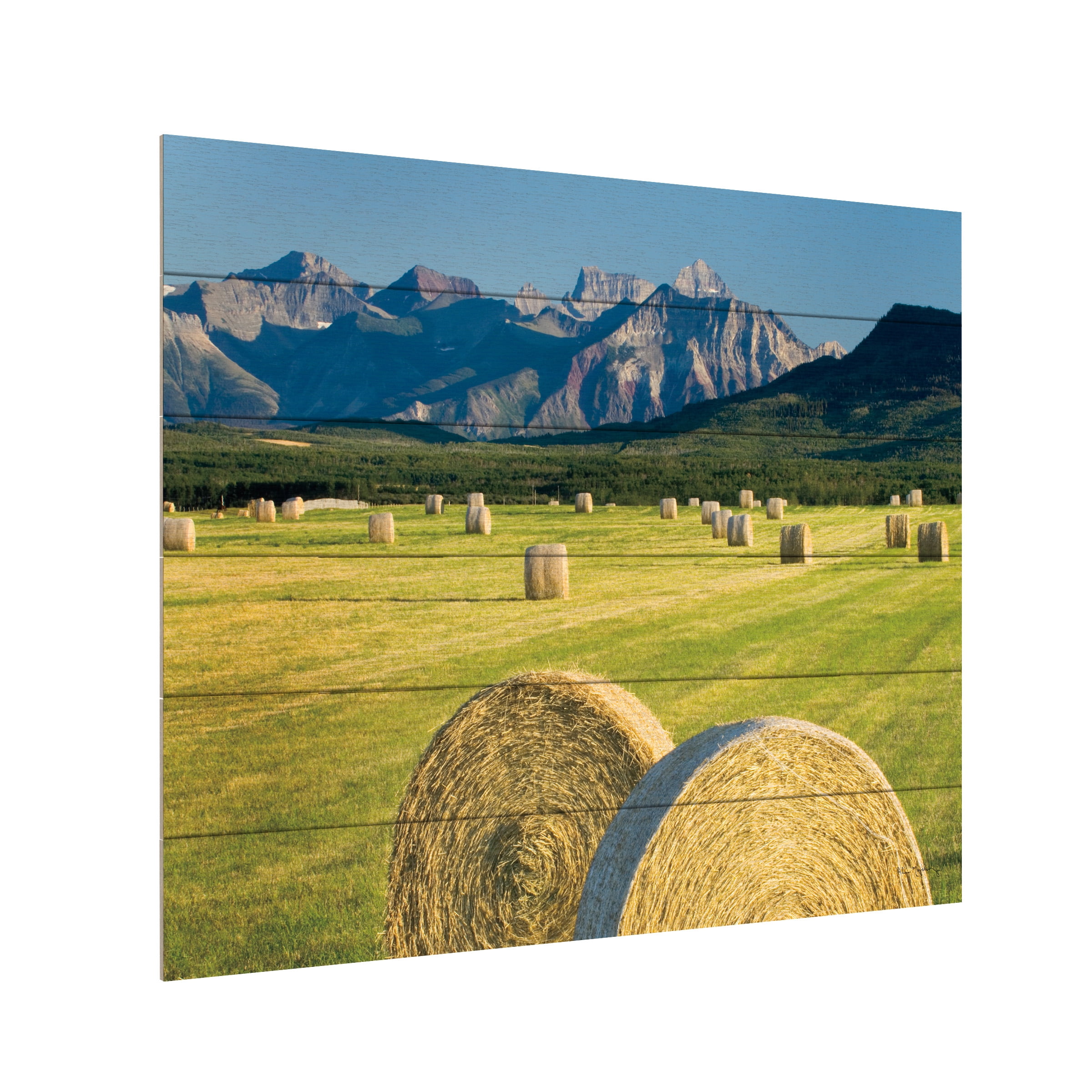 Alan Majchrowicz 'Waterton Hay Bales' Wood Slat Art 18x22