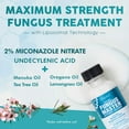 thumbnail image 3 of Ebanel Athletes Foot Fungus Treatment Extra Strength with Miconazole, Undecylenic Acid, Tea Tree Oil, Herbal Remedies, Antifungal Cream for Skin to Kill Fungi Lead to Nail Fungus, Ringworm, Jock Itch, 3 of 5
