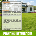 thumbnail image 3 of 1000 Emerald Zoysia Grass Seeds, Low-Maintenance, Drought-Tolerant Warm Season Lawn Grass for Home Yard or Garden, 3 of 5