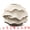 Beige, variant on Unique Bargains Low Cylinder Ceramic Vase Wide Matte White Decorative Bowl White