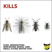 Raid Flying Insect Killer Aerosol Spray - Insecticide, Indoor Use - 15 oz