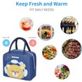 thumbnail image 4 of Bolsa de almuerzo aislada para mujeres y hombres, linda lonchera reutilizable para oficina, trabajo, viajes, picnic, 4 of 5