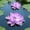 Purple, variant on Ovzne Floating Foam Lotus Flower – Blue Artificial Water Lily for Pond,Pool Spring Garden Decor