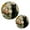 Black Cat and Glass Vase, variant on Cotton Thread Weave Hot Pot Holders Multi-use Hot Mats Non-Slip Coasters Heat Resistant Potholders for Cooking Baking A Large Group Of Dogs