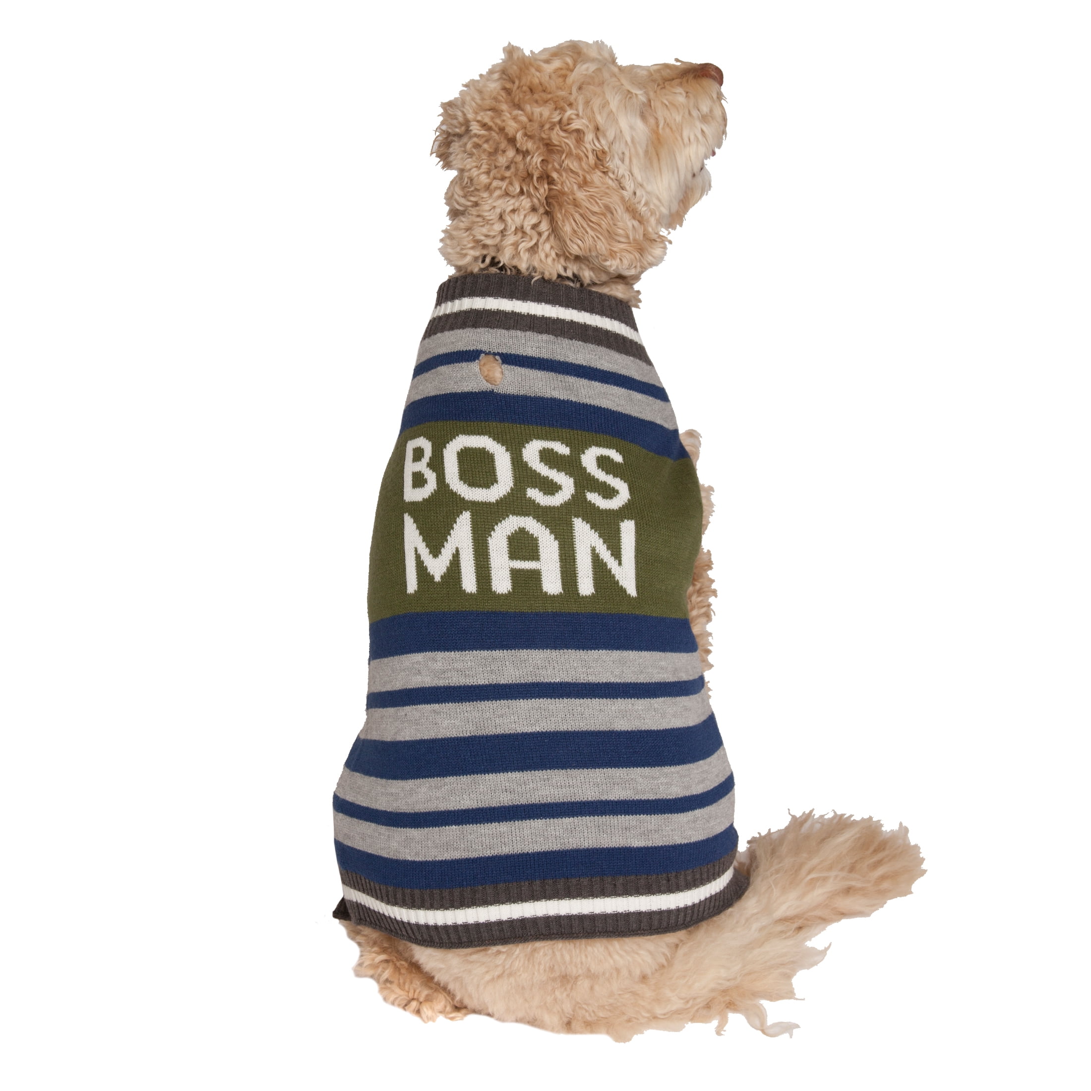 Vibrant Life Fall Green Boss Man Striped Dog Sweater