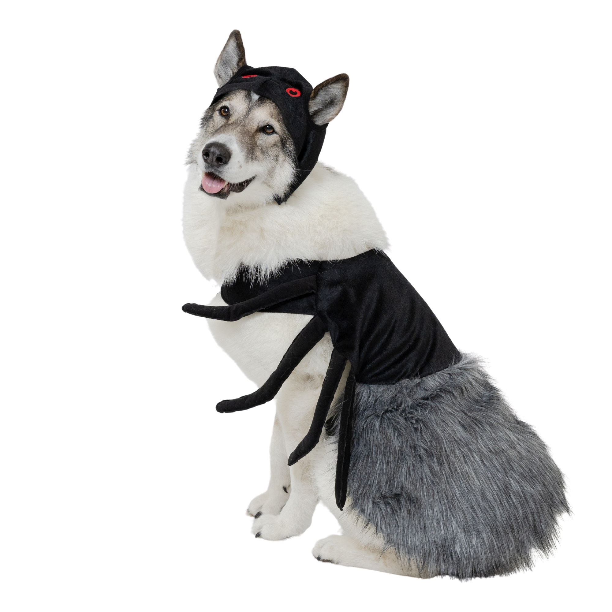 Vibrant Life Halloween Spider Costume for Dogs, Extra Large