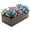 1-Pack Walnut, variant on Leumius 2-Pack 8x4x2 FT Metal Raised Garden Beds, Reinforced Rustproof Colored Steel Planter Boxes for Vegetables, Flowers, Herbs and Succulents