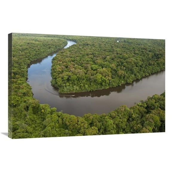 Global Gallery  Rainforest & Essequibo River - Iwokrama Rainforest Reserve - Guyana Art Print - Pete Oxford