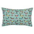thumbnail image 1 of Balery Dachshund Dog Puppy Funda de Cojín Estampada, Regalos para Mujeres, Regalos de Amor para Ella, Regalos para Novia o Esposa, Funda de Almohada-20"x30", 1 of 6