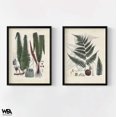 thumbnail image 3 of Collected Ferns V and VI, Set of 2 Vintage Rustic Fern Branch Poster, Last Minute Gift Idea, Extra Large Lobby Decor, Fern Bathroom Wall Art, 3 of 9