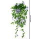 thumbnail image 3 of Petunias Falsas Morning Glory Vines Plantas Colgantes para Del, 3 of 9