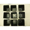 thumbnail image 2 of 3.5 inch SQUARE BLACK NURSERY POTS - SET OF 100 - {3.5" x 3.5"} plastic flower, 2 of 5