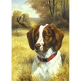 thumbnail image 1 of Taladro Pintura Diamante (DE4278) 5D DIY Completo Perro Punto de Cruz Kit Decoración Hogar (C1144) 45x60cm Hugtrwg Para estrenar, 1 of 1