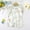 White A3, variant on YHAJDS Newborn Baby Romper Short Sleeve Cotton Print Bodysuit Summer Outfits Infants Jumpsuit Rompers for Boys Girls