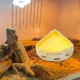thumbnail image 1 of Tazón de agua de reptiles, alimentador de reptiles, decoración del hábitat del terrario, plato de comida decorativa de alimentación de tazón para M, 1 of 10