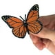 thumbnail image 3 of Simulation Life Cycle Figurine of a Monarch Butterfly Growth Cycle Insect Animals Educational Biolog, 3 of 5
