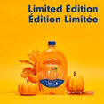 thumbnail image 2 of Softsoap Limited Edition Pumpkin Liquid Hand Soap, Kitchen or Bathroom Hand Soap, 1.47L, 2 of 11