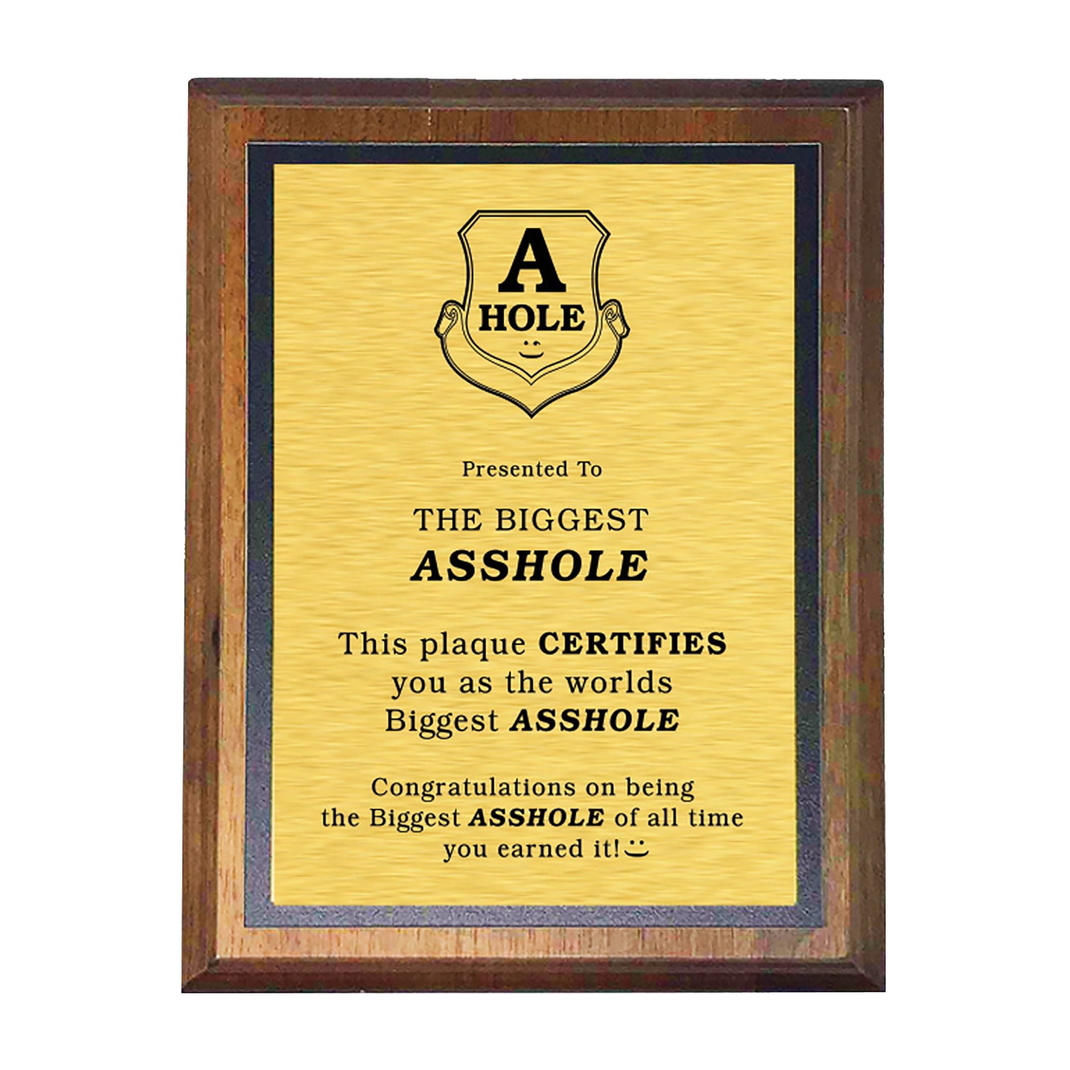 Plaque Edge Puzzle Modern Mixed Material Award