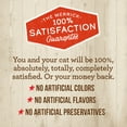 thumbnail image 5 of Merrick Purrfect Bistro Grain Free Cat Food, Complete Care Sensitive Stomach Dry Cat Food Recipe - 7 lb Bag, 5 of 11