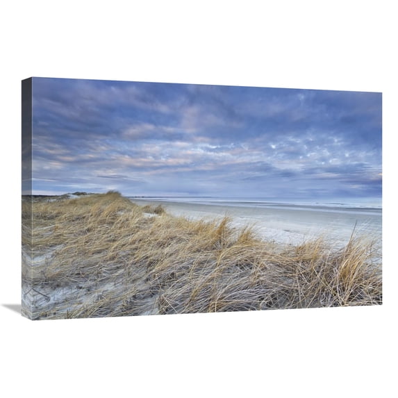 Global Gallery's 'Gold in the Hills' By Katherine Gendreau Stretched Canvas Wall Art