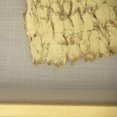 thumbnail image 3 of Wall Art Wing Right Golden Gold Glass Linen Wood Feather Velvet New Fram ZT-1991, 3 of 3