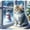 4121, variant on Diamond Painting Majestic Winter Cat Rhinestone Canvas 5D DIY Diamond Embroidery Kits Artful Craft Rhinestone Art35*35cm, frame not included.,4119