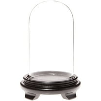 Plymor 4" x 7" Glass Display Dome Cloche (Black Wood Veneer Footed Base)