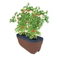 thumbnail image 5 of Bloomers 2435-1 Jardinière à Rails Auto-Arrosante de 24 Po Boîte de Culture et Jardinière en Résine Résistante aux Intempéries jusqu'à 6 Po Rampes - Brun fl.oz, 5 of 5