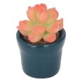 thumbnail image 3 of Suculentas artificiales para casa de muñecas alta simulación para evitar la decoloración maceta suculenta falsa en miniatura hermoso Color para decoración ANGGREK Otros, 3 of 8