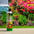thumbnail image 4 of Spectracide Triazicide Insect Killer for Landscapes & Gardens, Outdoor Fogger, 16 Ounces, 4 of 6