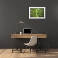 thumbnail image 3 of Braun Studio 32x23 White Modern Wood Framed Museum Art Print Titled - Ciel darbres, 3 of 4