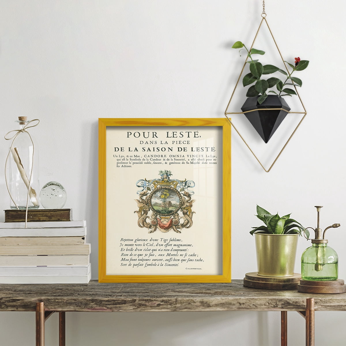 Printed Embellished Bookplate VI - Framed Print w/glass - Sunflower Yellow